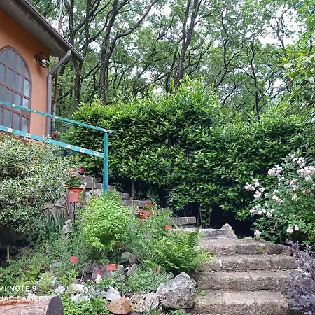 Holiday home La Casa Dei Daini